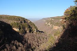 Cloudland canyon view