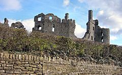 Coity Castle.jpg