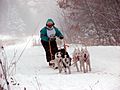 Emily Apostle Island Sled Dog Race