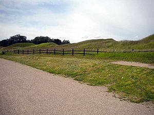 Eric the Victorious of Sweden alleged gravesite 2009 (1)