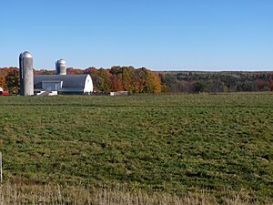 Harrison is mostly forest, with patches of farmland