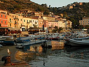 Giglio Harbour