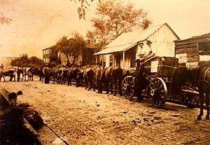 John C C Mayo procession