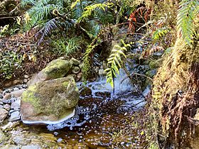 Lake Gault Track MRD 02