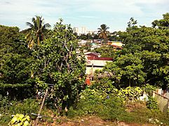 Las Monjas, Hato Rey Central