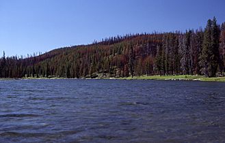 LewisRiverChannelShoshoneLake1989