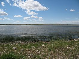 Little fish lake.jpg