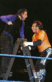 Matt and Jeff Hardy