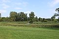 Matthaei Botanical Gardens Willow Pond