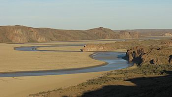 Meandros en la ría Deseado.jpg