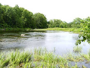 Moira River.jpg