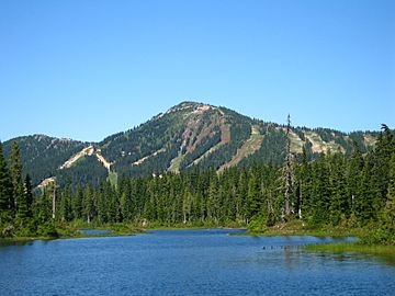 Mount Washington Summer.jpg