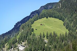 Mountain huts in Safien