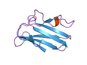 PDB 1plc EBI