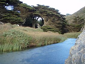 Pfeiffer Beach Stream.jpg