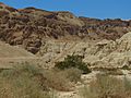 Qumran cave