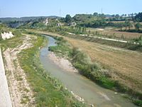 Riu Anoia - Igualada 2.JPG