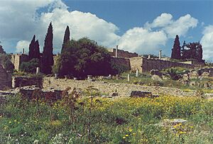 Roman-Villas-Carthage