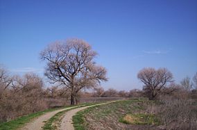 San Luis National Wildlife Refuge.JPG