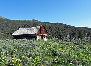 Sawtooth Raft River Cabin