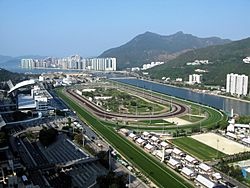 Sha Tin Racecourse Overview 2009.jpg