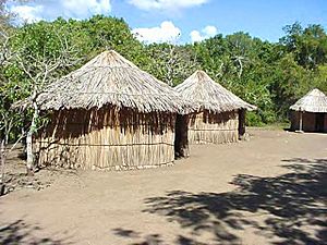 Taino Village.JPG