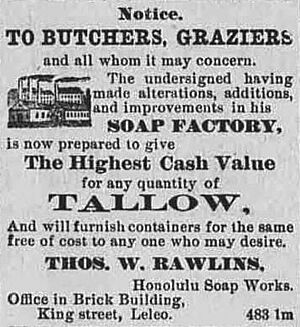 Tallow Ad