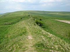 The Wansdyke on Tan Hill