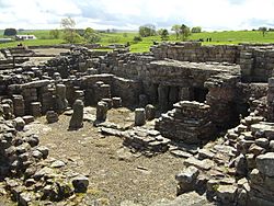 Vindolanda bathhouse - 2007-05-19