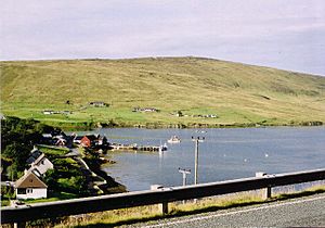 Voe, Shetland - geograph.org.uk - 95484.jpg