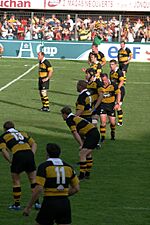 Wasps Perpignan