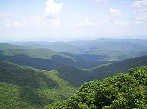 Wild Oak Trail View