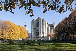 0 Collégiale Sainte-Waudru - Mons (1)