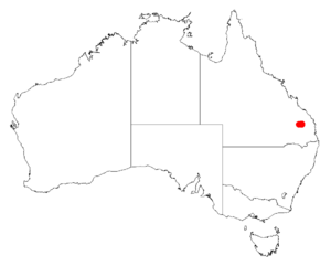 Acacia eremophiloidesDistMap330.png