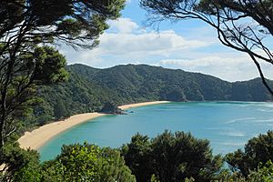 Anatakapau Bay and Mutton Cove