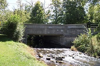 Ash Street Bridge Mason.jpg