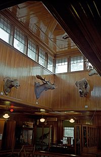 Banff Park Museum 2