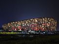 Birds Nest at Night