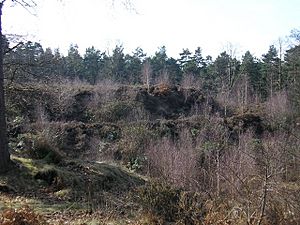 Caesar's Camp - geograph.org.uk - 1181919