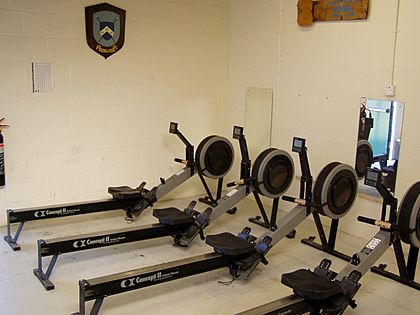 Concept2 Indoor Rowers