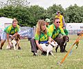 Dogs lining up to race