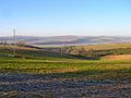 Downland near Erringham - geograph.org.uk - 1072739