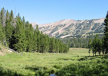 Gallatin National Forest.jpg