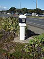 Geodetic Survey Mark in Wellington