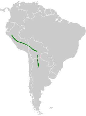 Glaucidium bolivianum map.svg