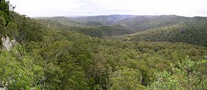 Guy Fawkes River NP