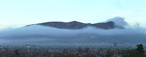 High Desert Fog