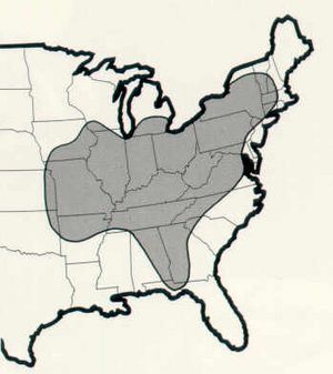 Indiana Bat Range FWS.jpg