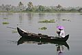 Kerala backwater 20080218-11