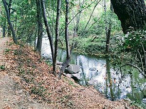 Los Gatos Creek Trail